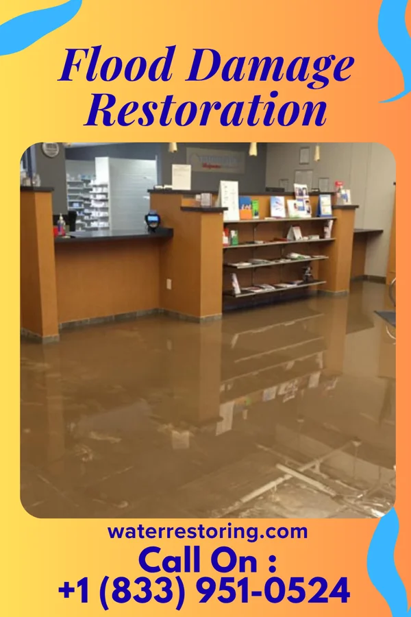 Flood Damage Restoration in Gould, OK